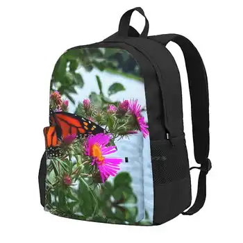 Монарх с цветами Женщины Мужчины Подростки Ноутбук Путешествия Школьные сумки Осень Природа Исследуйте Красочные Монарх Цветы Лето Темный Капризный
