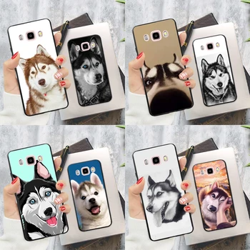 Забавный чехол для собаки сибирского хаски для Samsung Galaxy J8 A7 A9 A8 A6 Plus J4 J6 2018 J1 J3 J7 J5 2016 A3 A5 2017 Обложка